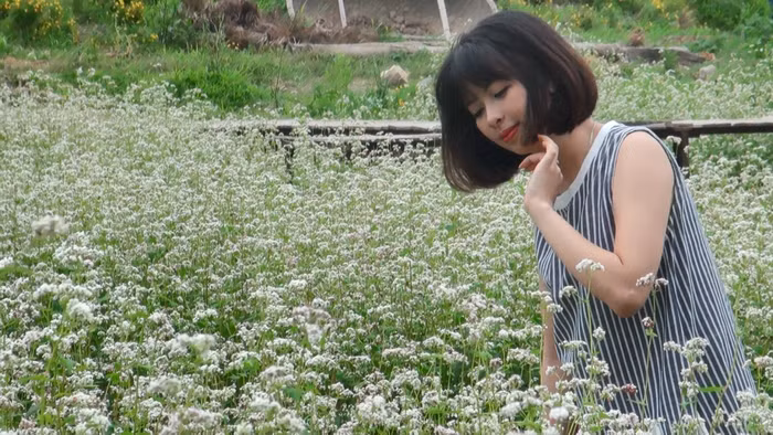  Với vẻ đẹp dịu dàng, tinh khiết thung lũng hoa tam giác mạch đã thu hút nhiều cặp đôi cũng như các bạn trẻ đến ghi lại những khoảnh khắc đáng nhớ