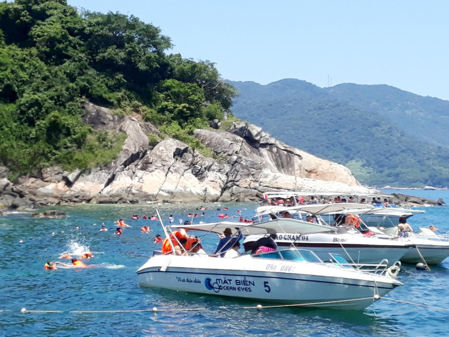 Lặng ngắm san hô. 