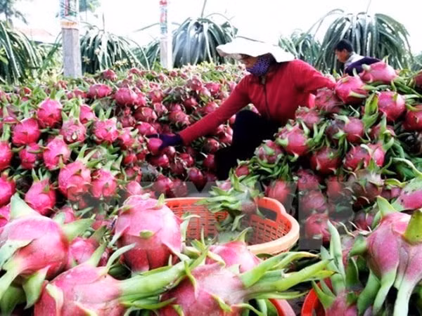 Ảnh minh họa Ảnh minh họa