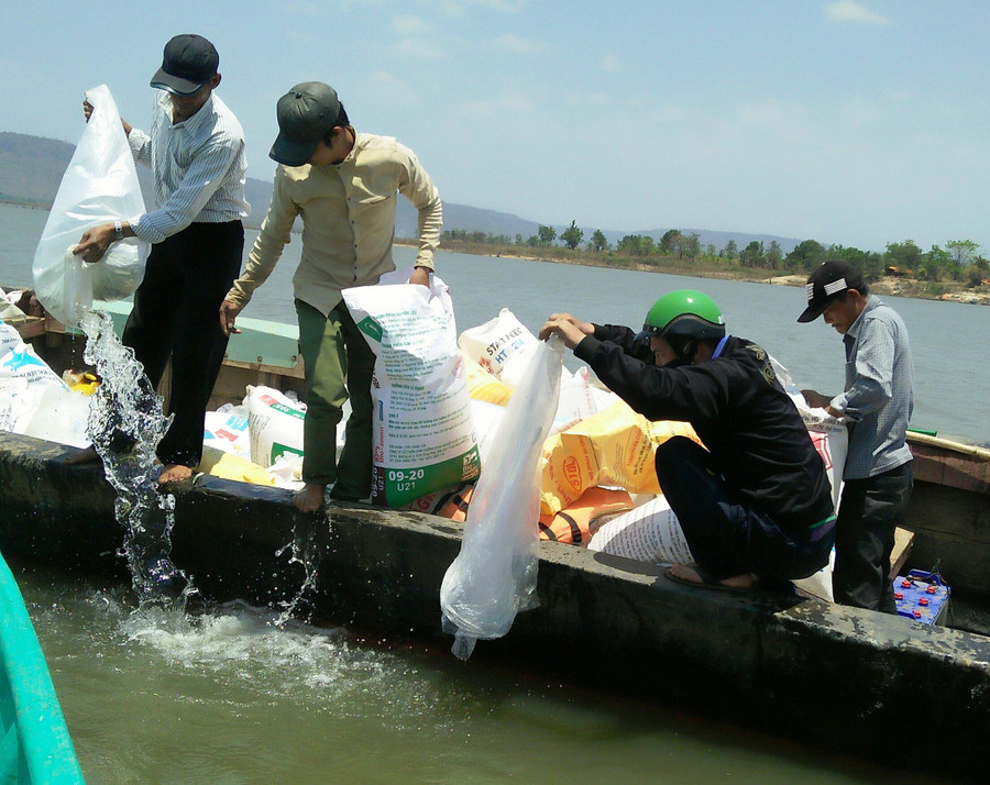 Tiến hành thả cá. Ảnh: Dung Cao