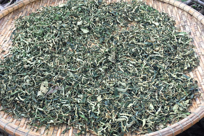  Không chỉ là một loại đồ uống, trà sen còn giúp giảm căng thẳng, tốt cho da, cân bằng huyết áp...