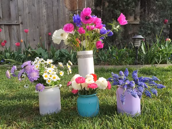 Vào mùa hoa nở, chị Jacqueline thường chọn những bông đẹp nhất bó lại để con mang tặng cô giáo và bạn bè.