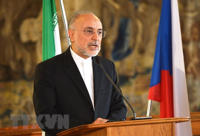  Người đứng đầu Cơ quan Năng lượng Nguyên tử Iran (AEOI), ông Ali Akbar Salehi. (Nguồn: AFP/TTXVN)