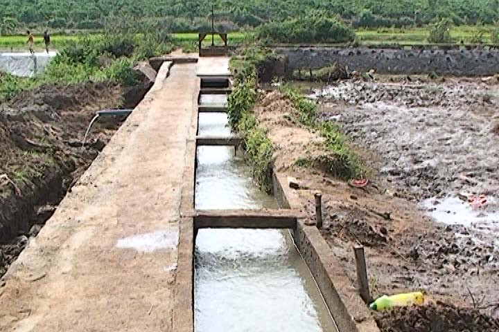 Ảnh: T.V Ảnh: T.V