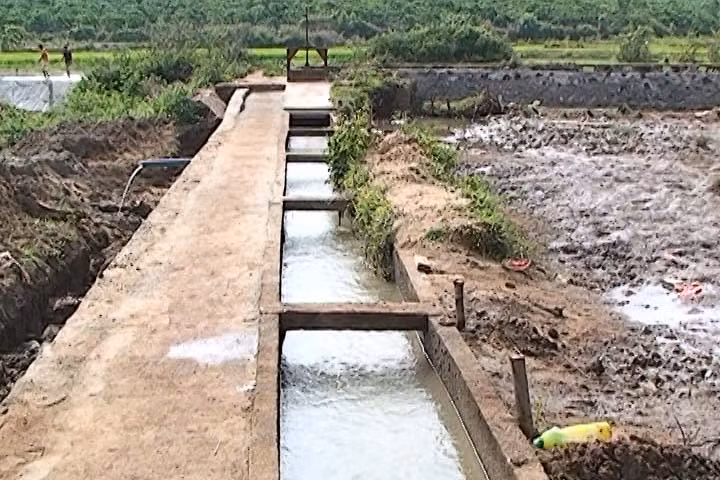 Ảnh: T.V Ảnh: T.V