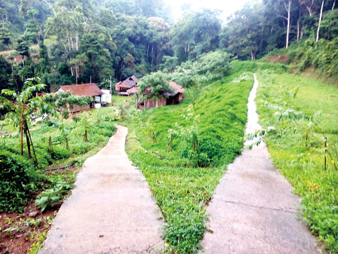 Một góc hoang sơ Măng Đen