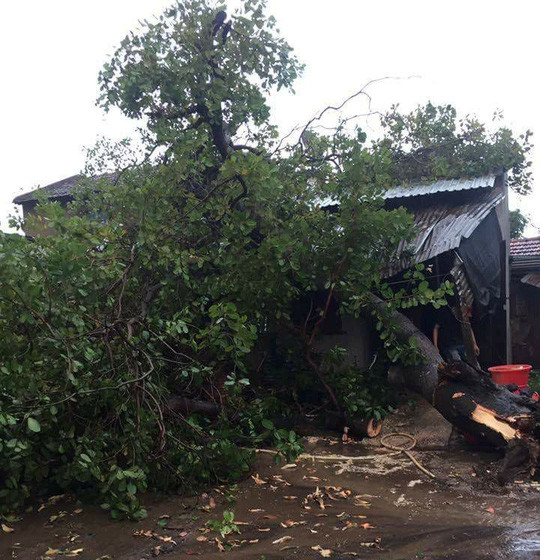 Cơn mưa đá, lốc xoáy kéo dài khoảng 1 giờ gây thiệt hại nặng nề. 