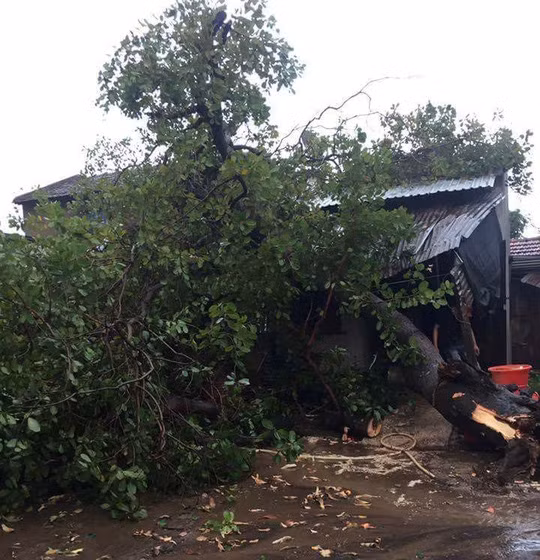 Cơn mưa đá, lốc xoáy kéo dài khoảng 1 giờ gây thiệt hại nặng nề. 