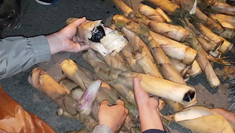 Số ma túy được Tuấn giấu trong thân cây măng. Số ma túy được Tuấn giấu trong thân cây măng.