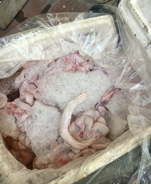 Số nội tạng động vật được phát hiện. Số nội tạng động vật được phát hiện.