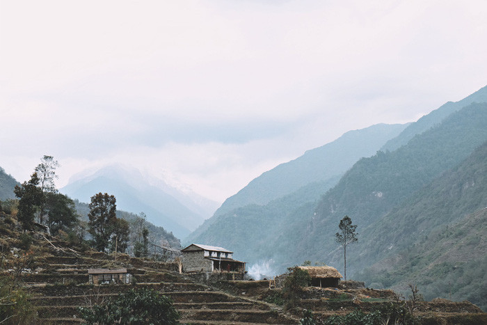  Từ Nayapul đến New Bridge, địa hình khá giống Tây Bắc Việt Nam với trập trùng rừng núi và ruộng bậc thang