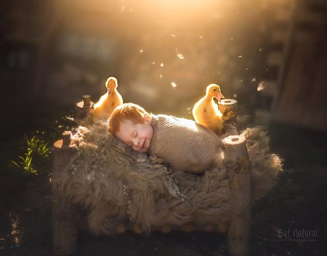 Những hình ảnh này đã giúp tôi chữa lành vết thương. Chúng tôi sẽ sớm mang về nhà hai con chó tuyệt vời và một trong số chúng sẽ được đặt tên là Mustang.