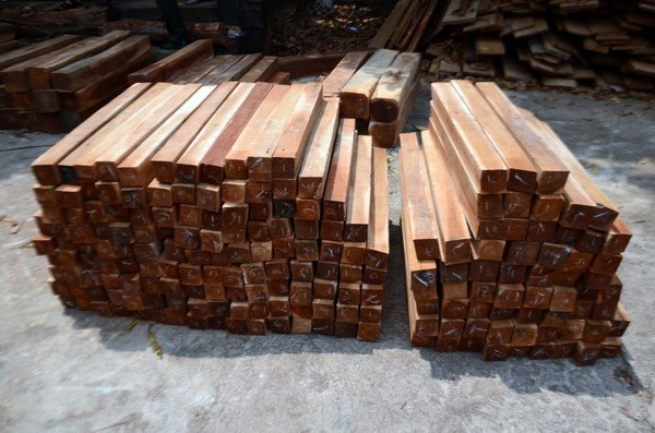 Ảnh minh họa Ảnh minh họa