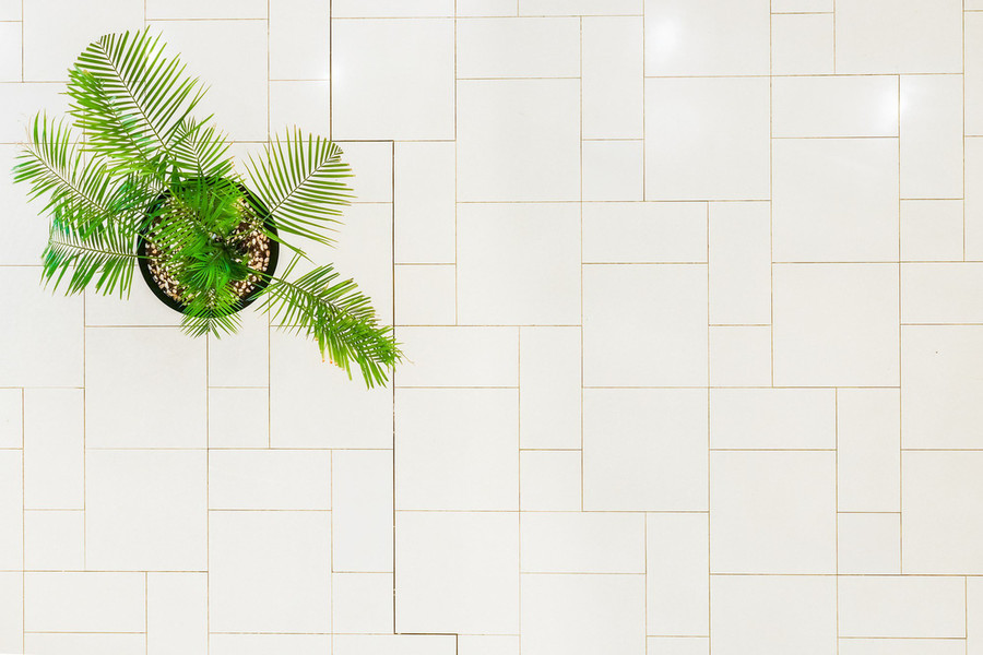 Một cái cây chụp ở Bình Tân...