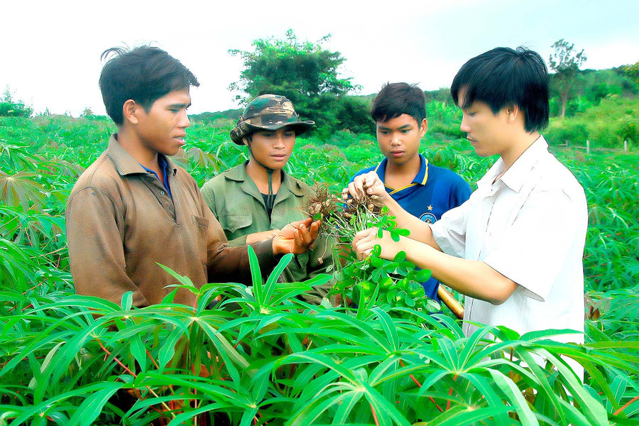 Nhiều hộ đồng bào dân tộc thiểu số thoát nghèo nhờ thay đổi nếp nghĩ, cách làm. Ảnh: Đức Thụy Nhiều hộ đồng bào dân tộc thiểu số thoát nghèo nhờ thay đổi nếp nghĩ, cách làm. Ảnh: Đức Thụy