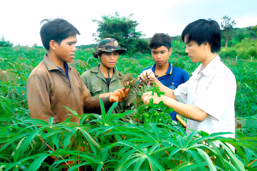 Nhiều hộ đồng bào dân tộc thiểu số thoát nghèo nhờ thay đổi nếp nghĩ, cách làm. Ảnh: Đức Thụy