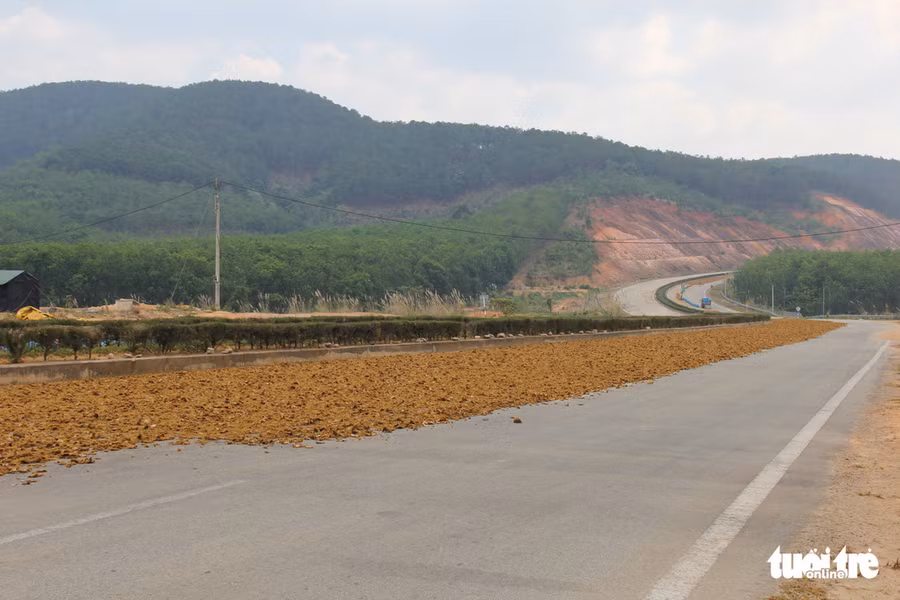 Cả một đoạn đường dài hàng cây số thành sân phơi của nhà nông 