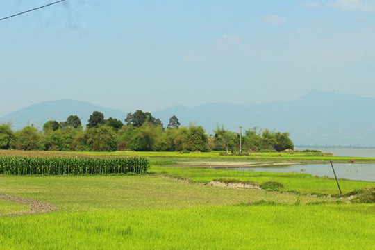 Khu rừng được hồ Lắk bao bọc.