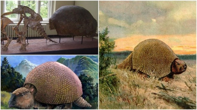 Loài Glyptodon. (Nguồn: Thevintagenews.com)