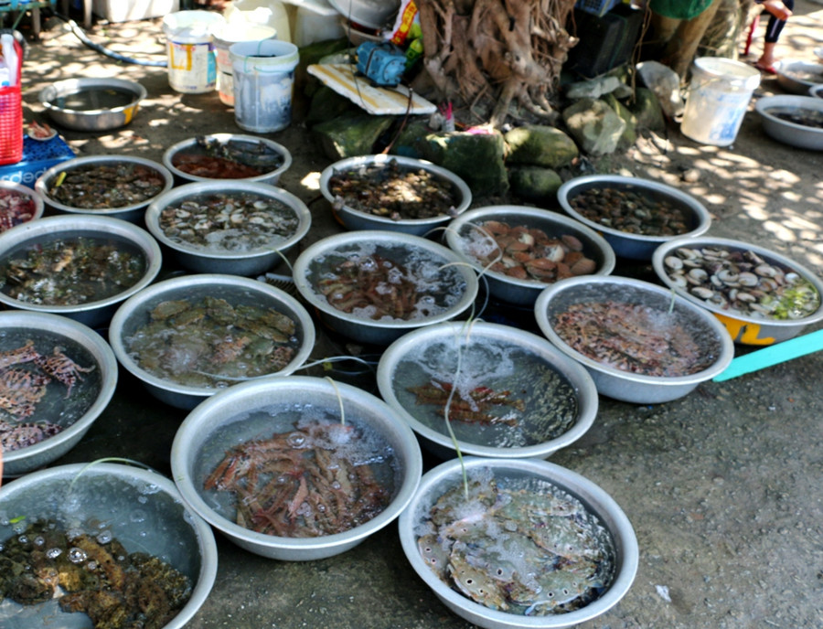 Đến với Cù lao Chàm du khách sẽ được thưởng thức nhiều loại hải sản còn tươi sống.