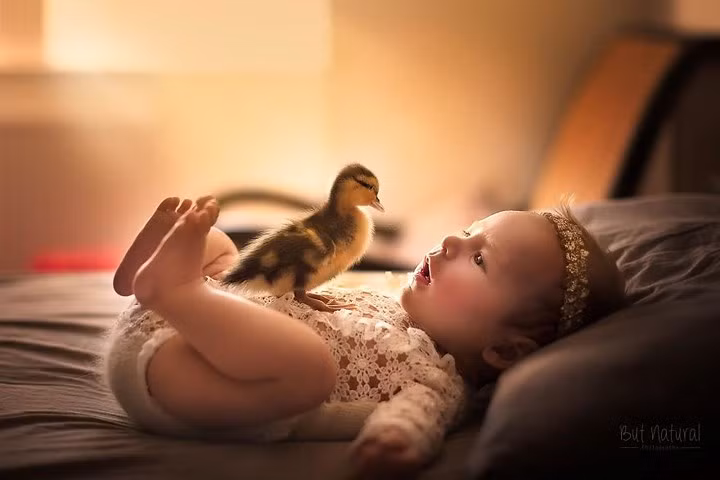 Khi Mustang còn sống, khách hàng của tôi thường yêu cầu chụp trẻ sơ sinh với nó.