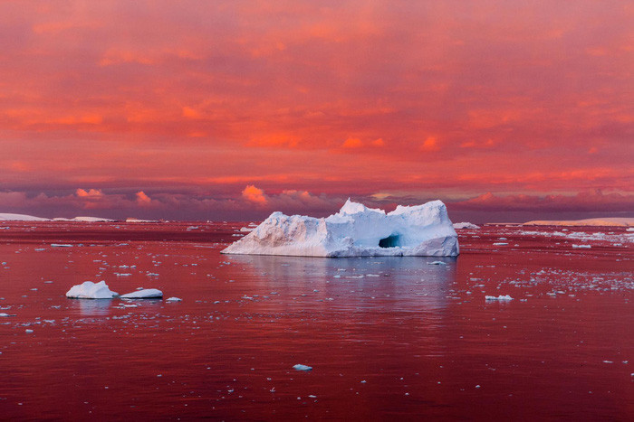 Ảnh: CAMILLE SEAMAN/National Geographic