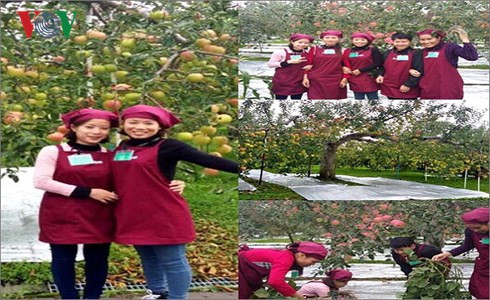 Sinh viên của Học viện đang tham gia chương trình kỹ sư táo đỏ tại Nhật Bản Sinh viên của Học viện đang tham gia chương trình kỹ sư táo đỏ tại Nhật Bản