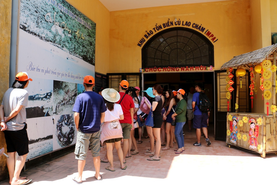 Thăm khu bảo tồn Biển Cù lao Chàm.