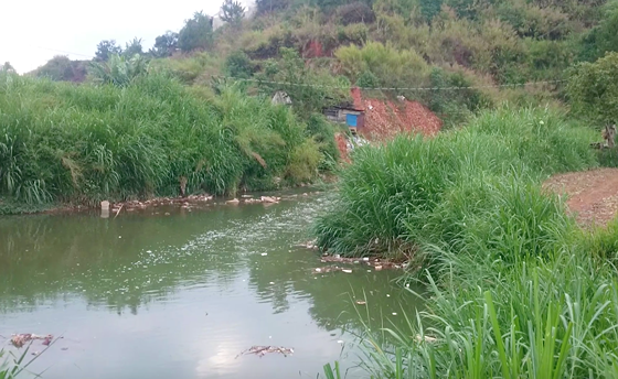 Khu vực suối, nơi xảy ra sự việc thương tâm