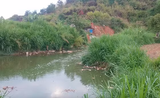 Khu vực suối, nơi xảy ra sự việc thương tâm