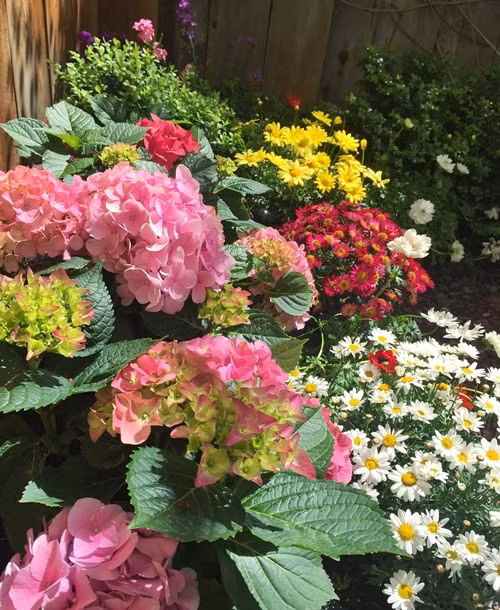  'Khi hay tin con trai bị tử kỷ, hôm đó với tôi là ngày tận thế', chị Jacqueline kể lại thời điểm đầy khó khăn. Chị trấn an bản thân rồi đưa con tới bệnh viện nổi tiếng khám. Người mẹ 42 tuổi dành 27 giờ/tuần cùng Amani tham gia các khóa trị liệu tâm lý.