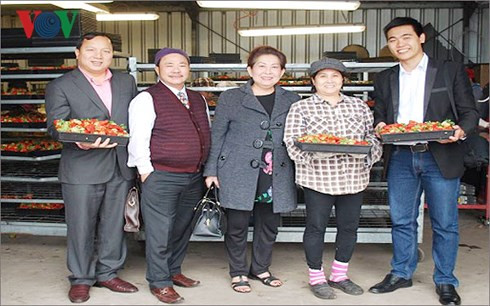 Đại diện Học viện Nông nghiệp Việt Nam làm việc với Hội Nông gia Việt Nam tại Tây Úc Đại diện Học viện Nông nghiệp Việt Nam làm việc với Hội Nông gia Việt Nam tại Tây Úc