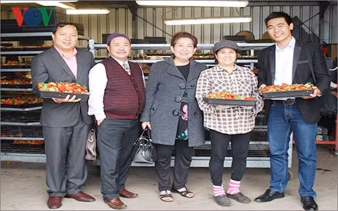 Đại diện Học viện Nông nghiệp Việt Nam làm việc với Hội Nông gia Việt Nam tại Tây Úc