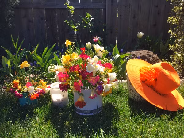 Nhiều người 'trách' Jacqueline khiến họ 'nghiện' trồng hoa. Họ nói vì chị mà 'đại dịch yêu hoa' lan rộng khắp nước Mỹ.