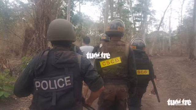  Dẫn giải Phượng râu ra khỏi rừng