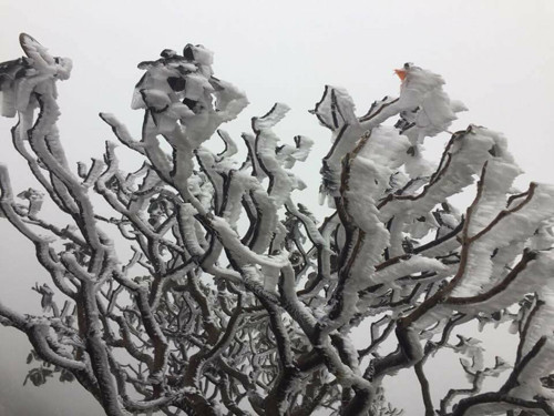  Ông Đỗ Trọng Nguyên, trưởng phòng Văn hóa Thông tin Sa Pa, cho biết Sa Pa có 6.000 phòng, chưa kể các homestay nên có thể đáp ứng như cầu lưu trú của du khách.