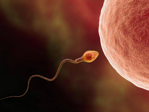  Ảnh: iStock.