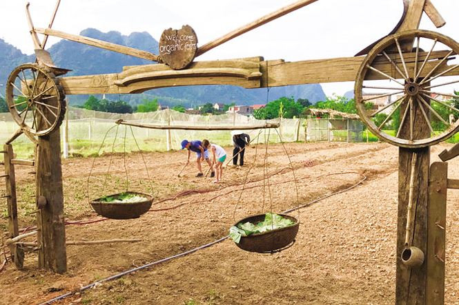 Khách du lịch học làm nông ở Cự Nẫm. Khách du lịch học làm nông ở Cự Nẫm.