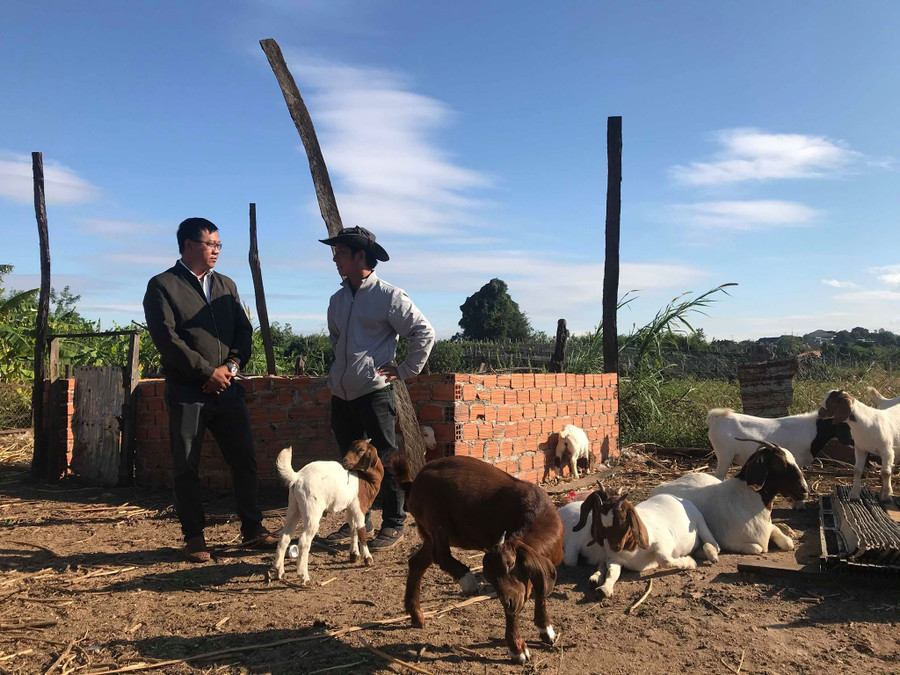 Anh Đỗ Văn Đặng – Chủ tịch Hội Nông dân xã Ia Le thăm trang trại chăn nuôi dê của gia đình anh Thảo.