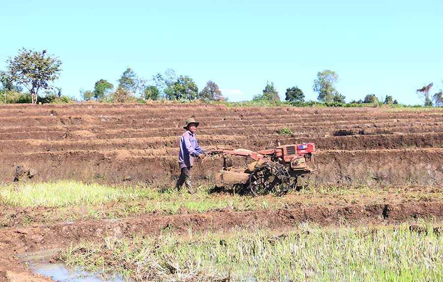 Người dân làm đất để chuẩn bị gieo sạ lúa. Ảnh: Q.T  Người dân làm đất để chuẩn bị gieo sạ lúa. Ảnh: Q.T