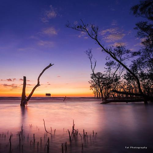 Gốc cây cô đơn ở bãi biển Tân Thành, huyện Gò Công Đông, tỉnh Tiền Giang. Ảnh: Viên Diệu Phát. Gốc cây cô đơn ở bãi biển Tân Thành, huyện Gò Công Đông, tỉnh Tiền Giang. Ảnh: Viên Diệu Phát.