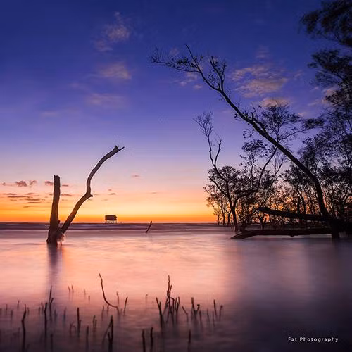 Gốc cây cô đơn ở bãi biển Tân Thành, huyện Gò Công Đông, tỉnh Tiền Giang. Ảnh: Viên Diệu Phát. Gốc cây cô đơn ở bãi biển Tân Thành, huyện Gò Công Đông, tỉnh Tiền Giang. Ảnh: Viên Diệu Phát.