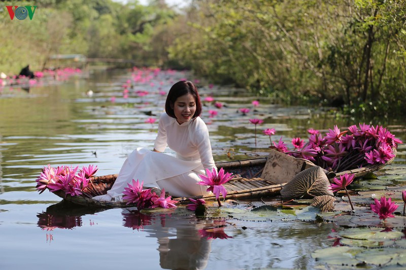 Thuê một chiếc thuyền nhỏ với giá khoảng 100.000-120.000 đồng, ngồi trên thuyền, bạn sẽ lạc trôi vào cảnh sắc đẹp như cõi tiên khiến bao du khách phải sững sờ.