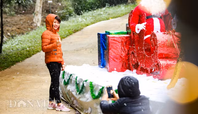 Các máy phun tuyết liên tục tạo hình ảnh lung linh trên khắp các khu vườn bách xanh.