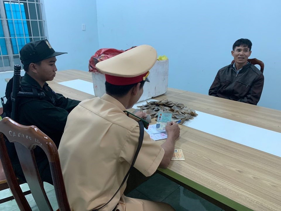 Phát hiện hơn 20kg vảy tê tê cất giấu trong thùng xốp