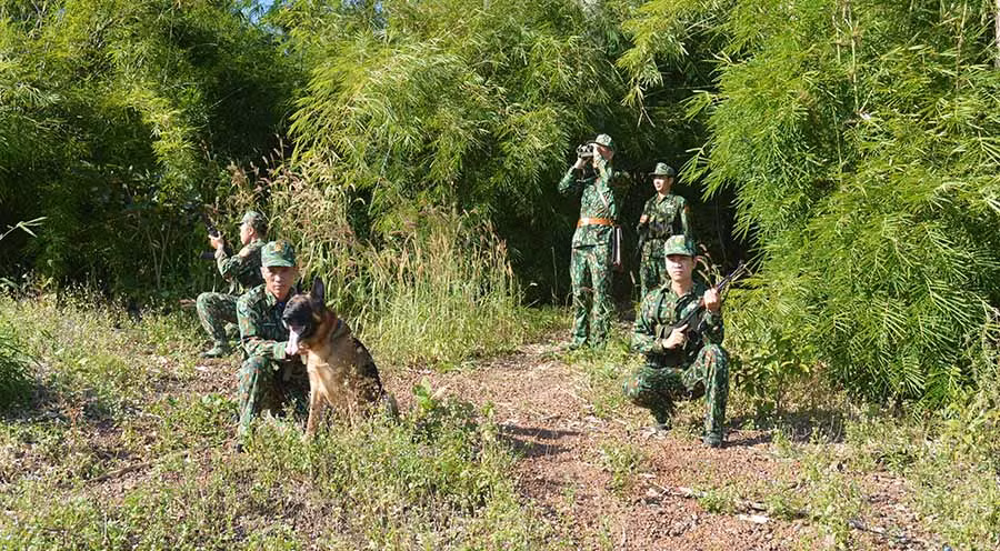  Cán bộ, chiến sĩ Đồn Biên phòng Cửa khẩu Quốc tế Lệ Thanh (huyện Đức Cơ) tuần tra bảo vệ biên giới. Ảnh: A.H