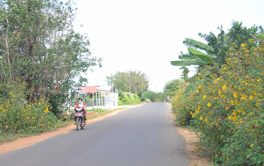  Đường liên huyện đi qua thôn Thanh Bình, xã Ia Bă, huyện Ia Grai. Ảnh: H.C