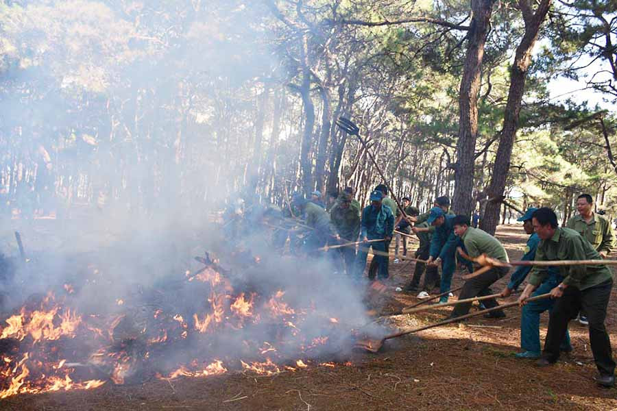  Các lực lượng dân quân, ban quản lý rừng phòng hộ, chủ rừng tham gia diễn tập chữa cháy rừng. Ảnh: L.N