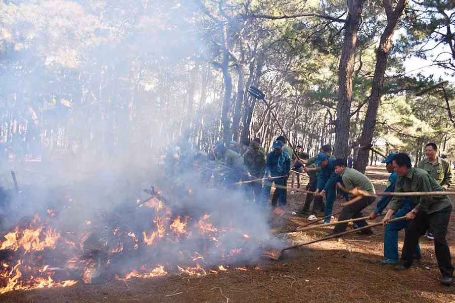  Các lực lượng dân quân, ban quản lý rừng phòng hộ, chủ rừng tham gia diễn tập chữa cháy rừng. Ảnh: L.N