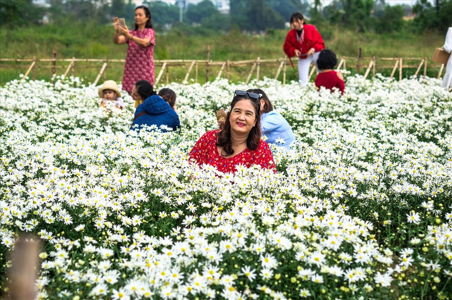 Không chỉ các bạn trẻ, những phụ nữ trung niên và lớn tuổi cũng đến “check in” tạo dáng bên hoa cúc họa mi. Không chỉ các bạn trẻ, những phụ nữ trung niên và lớn tuổi cũng đến “check in” tạo dáng bên hoa cúc họa mi.
